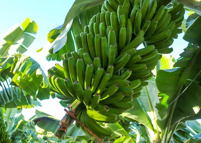 Διαμέρισμα Horizonte 22 Sea View Relax In Luxury Los Cristianos (Tenerife)