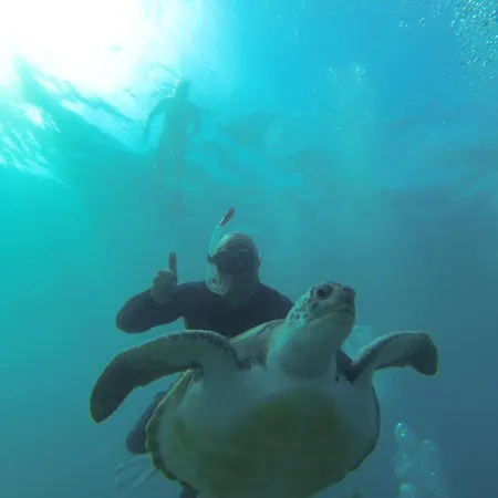 Horizonte 22 Sea View Relax In Luxury 公寓 *