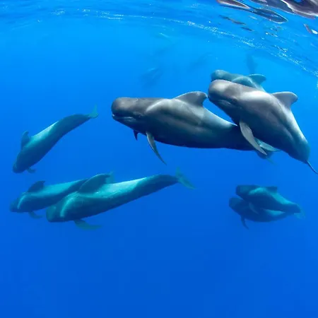 Horizonte 22 Sea View Relax In Luxury * 로스크리스티아노스